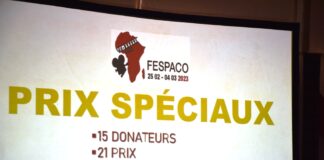 FESPACO/Prix spéciaux: 111 millions FCFA pour les meilleurs films