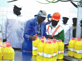 Industrie : le modèle social de la SN-CITEC salué par Bassolma Bazié