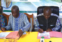 Ministère en charge de l’agriculture : une convention avec l’INERA pour la relance du blé