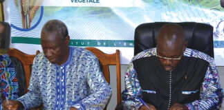 Ministère en charge de l’agriculture : une convention avec l’INERA pour la relance du blé