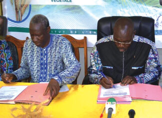 Ministère en charge de l’agriculture : une convention avec l’INERA pour la relance du blé