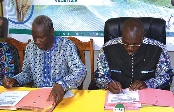 Ministère en charge de l’agriculture : une convention avec l’INERA pour la relance du blé