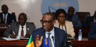 Conseil de sécurité des Nations Unies : le Mali récuse le statut de porte-plume de la France