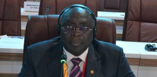 Cinquième conférence des Nations-Unies sur les pays les moins avancés : La question sécuritaire, une priorité des pays sahéliens au forum des parlementaires