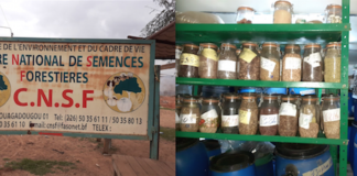Centre national de semences forestières : un sanctuaire de la biodiversité