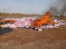 Lutte contre la contrebande et le trafic de drogue : Plus de 200 kg de cannabis incinérés à Tenkodogo