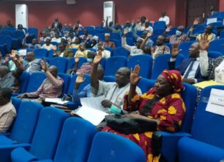 Sécurité et développement local : La loi instituant les Comités de veille et de développement adoptée