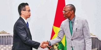 Coopération bilatérale : le Japon promet renforcer ses interventions au Burkina