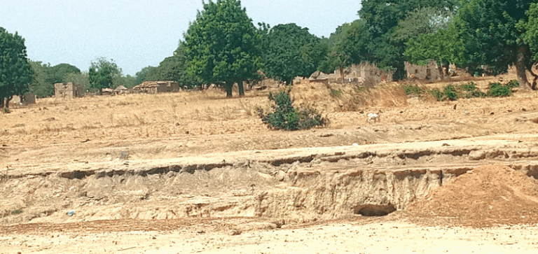 Extraction de sable dans le Ganzourgou : une tueuse silencieuse de l’environnement