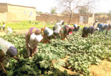Résilience communautaire : de déplacées internes à femmes battantes