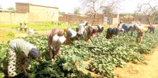 Résilience communautaire : de déplacées internes à femmes battantes