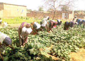 Résilience communautaire : de déplacées internes à femmes battantes