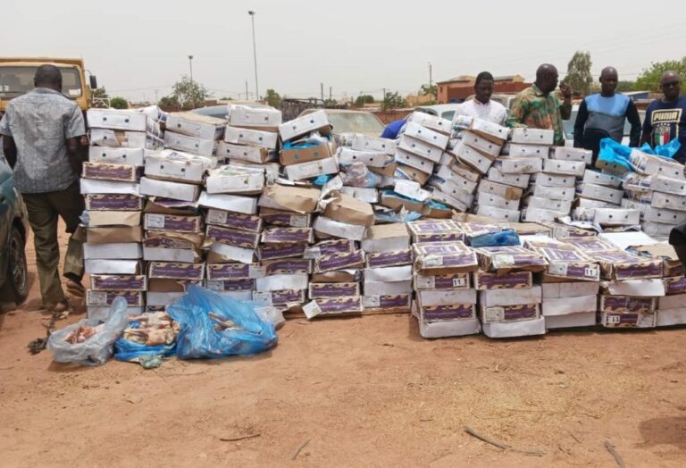 Burkina :Plus de 10 tonnes de poulets prohibés saisies à 42 km de Ouagadougou