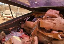 Ouagadougou : 2800 poulets impropres à la consommation saisie par la CNLF