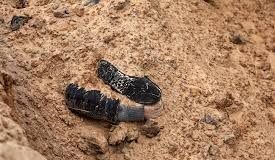 Présumée tuerie dans le Yatenga : Le procureur de Ouahigouya ouvre une enquête