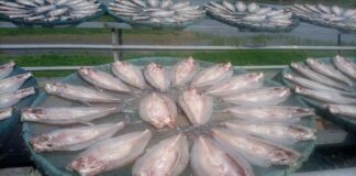 Yueyang en Chine : Un paradigme de coexistence harmonieuse entre l’homme et la nature