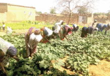 Résilience communautaire : de déplacées internes à femmes battantes