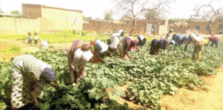 Résilience communautaire : de déplacées internes à femmes battantes