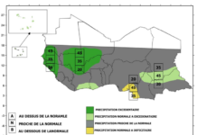 Prévisions saisonnières dans la zone soudano-sahélienne : Une saison des pluies moyenne à humide attendue en 2023
