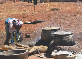 Biotechnologie alimentaire : le soumbala, la moutarde africaine aux multiples vertus