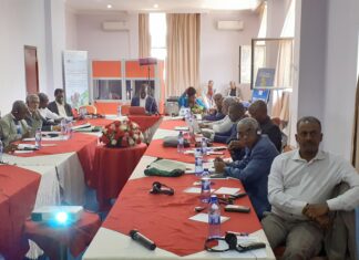 Dialogue politique de l’UA sur les systèmes alimentaires : Le satisfecit général des parties prenantes