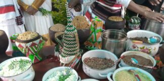 Transformation des systèmes alimentaires en Afrique : L’UA engage un dialogue politique sur la problématique