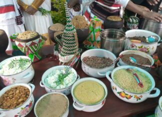 Transformation des systèmes alimentaires en Afrique : L’UA engage un dialogue politique sur la problématique