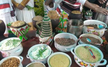 Transformation des systèmes alimentaires en Afrique : L’UA engage un dialogue politique sur la problématique