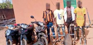 Ouagadougou : La police nationale interpelle un gang à Saaba.