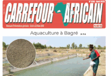Une Carrefour Africain n°1290-Avril 2023