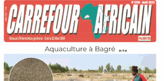 Une Carrefour Africain n°1290-Avril 2023
