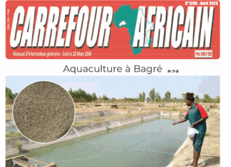 Une Carrefour Africain n°1290-Avril 2023