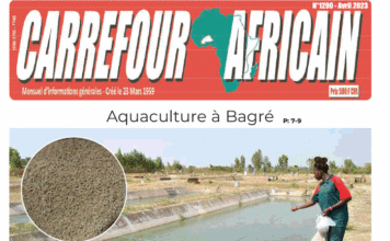 Une Carrefour Africain n°1290-Avril 2023