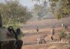 Burkina : Une attaque terroriste fait 33 morts dans la Boucle du Mouhoun