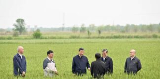 Beijing-Tianjin-Hebei : Xi Jinping appelle à faire de la région une pionnière dans la poursuite de la modernisation chinoise