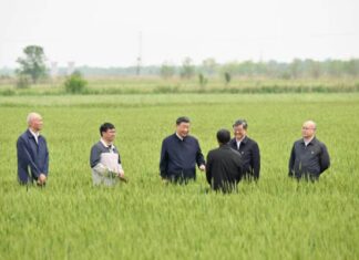 Beijing-Tianjin-Hebei : Xi Jinping appelle à faire de la région une pionnière dans la poursuite de la modernisation chinoise