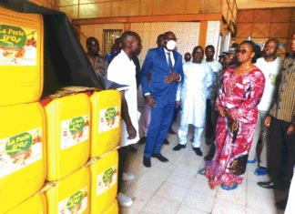 Soutien public aux industrielles de Bobo-Dioulasso: le ministre des Finances au constat