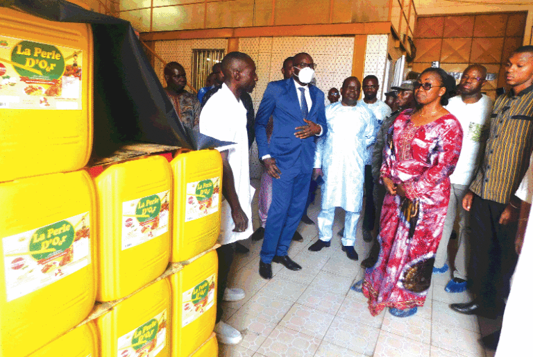 Soutien public aux industrielles de Bobo-Dioulasso: le ministre des Finances au constat