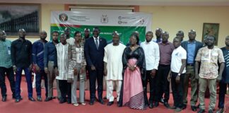 Accès à l’énergie durable au Burkina: La CEDEAO lance son projet d’électrification hors réseau