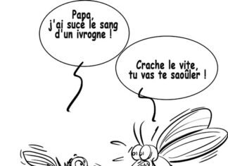 Sourire du 05-06-2023
