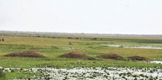 Grande mare de Dori : des actions en vue pour sa sauvegarde