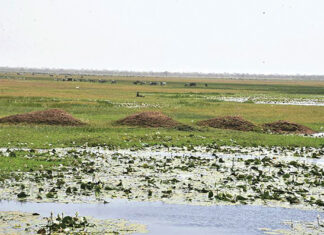 Grande mare de Dori : des actions en vue pour sa sauvegarde