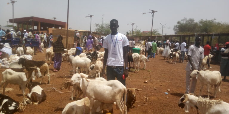 Foire Tabaski 2023 à Kaya : 700 petits ruminants et volailles exposés