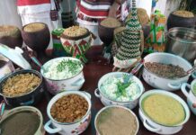 5e conférence ministérielle UA-UE : La société civile africaine appelle à une transition agroécologique