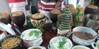 5e conférence ministérielle UA-UE : La société civile africaine appelle à une transition agroécologique