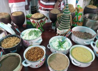 5e conférence ministérielle UA-UE : La société civile africaine appelle à une transition agroécologique