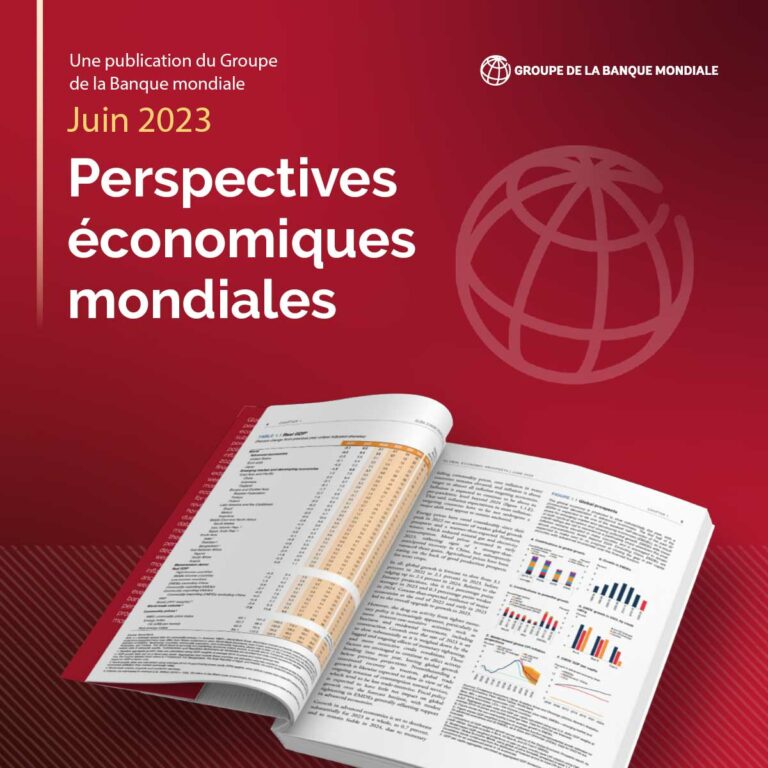 Perspectives économiques mondiales 2023 : L&rsquo;économie mondiale est dans une position précaire 