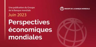 Perspectives économiques mondiales 2023 : L’économie mondiale est dans une position précaire