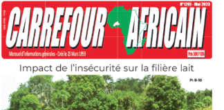 Une Carrefour africain n°1291-mai 2023
