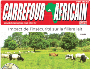 Une Carrefour africain n°1291-mai 2023